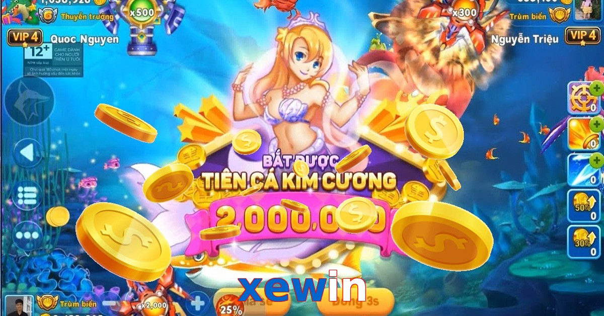 xewin