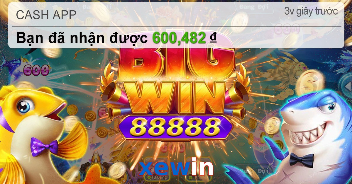 xewin